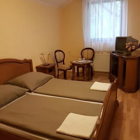 Kyselka Trenčín